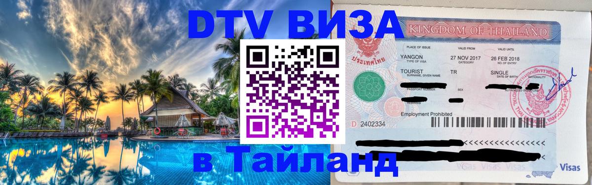 Оформление DTV визы под ключ: стоимость и тарифы, только загранпаспорт - 